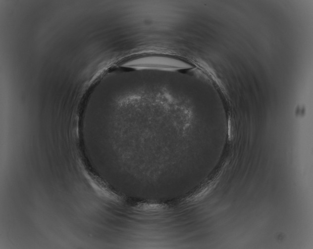 X0000091170205200708231513