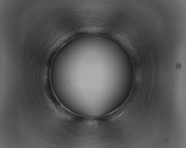 X0000091170206200708231513