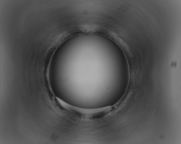 X0000091170209200708231513