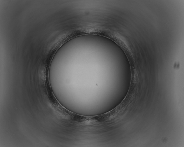 X0000091170210200708231513