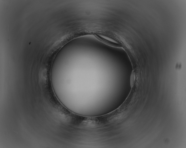 X0000091170211200708231513