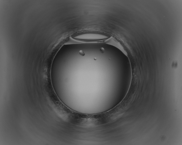 X0000091170212200708231513