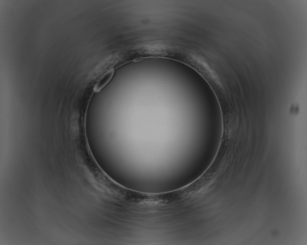 X0000091170213200708231513