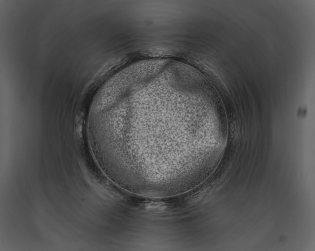 X0000091170214200708231513