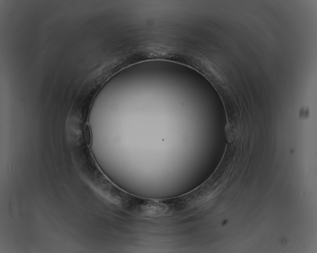 X0000091170215200708231513