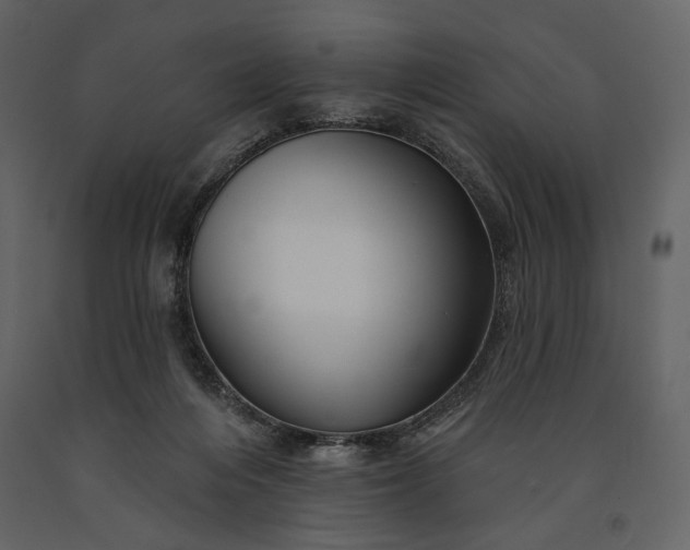 X0000091170216200708231513