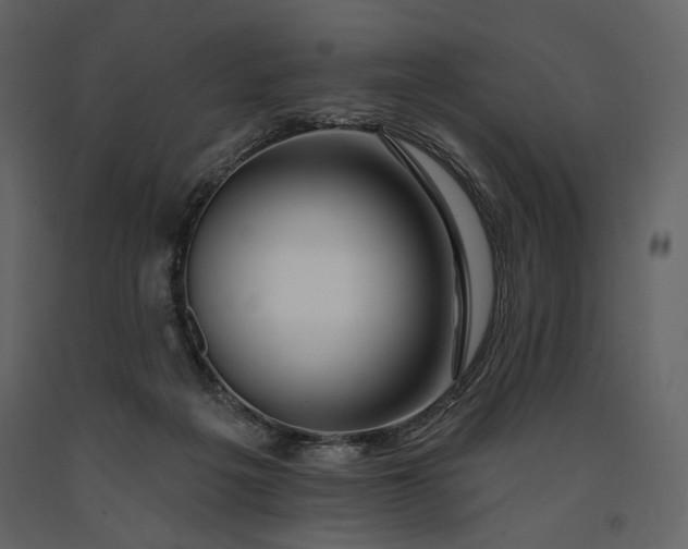 X0000091170217200708231513