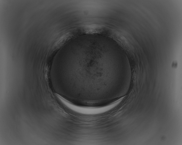 X0000091170219200708231513