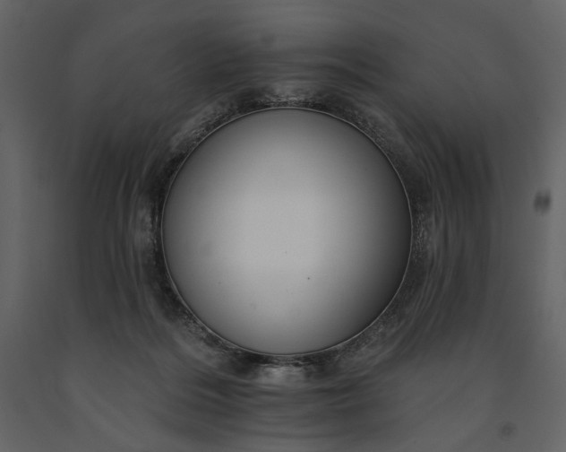 X0000091170220200708231513