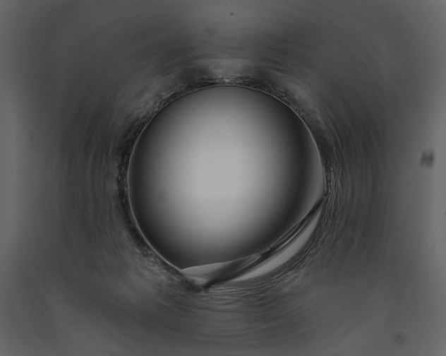 X0000091170221200708231513