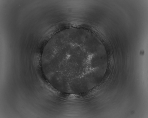 X0000091170222200708231512