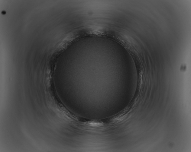 X0000091170223200708231512