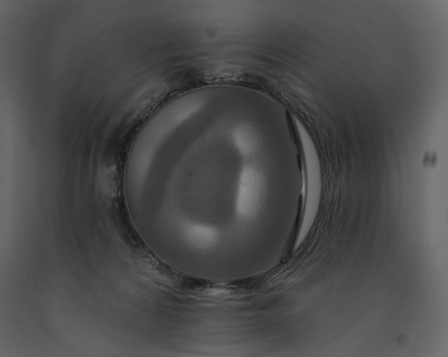 X0000091170224200708231512