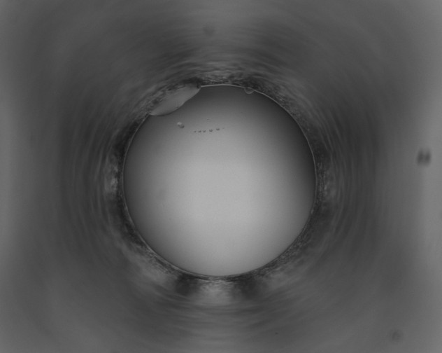 X0000091170226200708231512