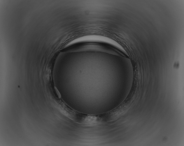 X0000091170227200708231512