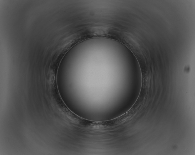 X0000091170228200708231512