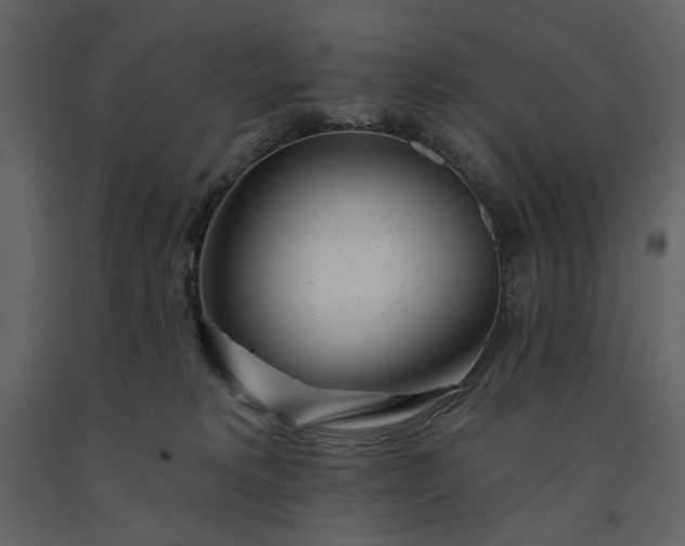 X0000091170229200708231512