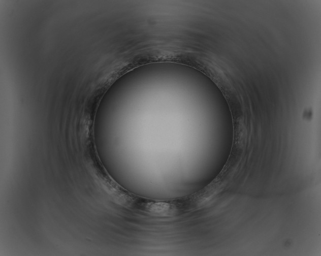 X0000091170230200708231512