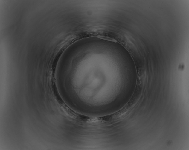 X0000091170231200708231512