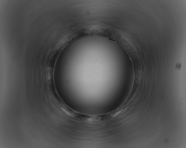 X0000091170232200708231512