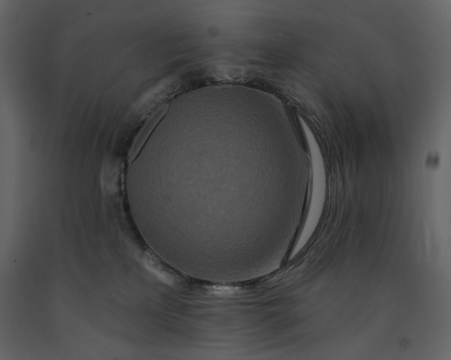 X0000091170233200708231512