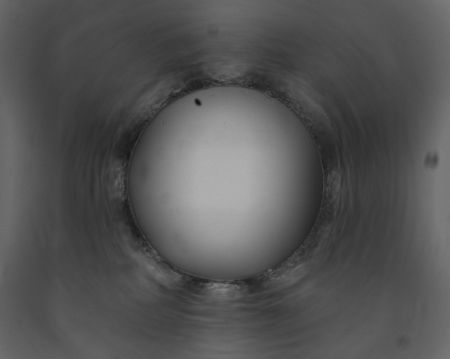 X0000091170234200708231512