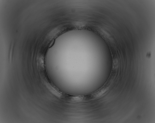 X0000091170238200708231512