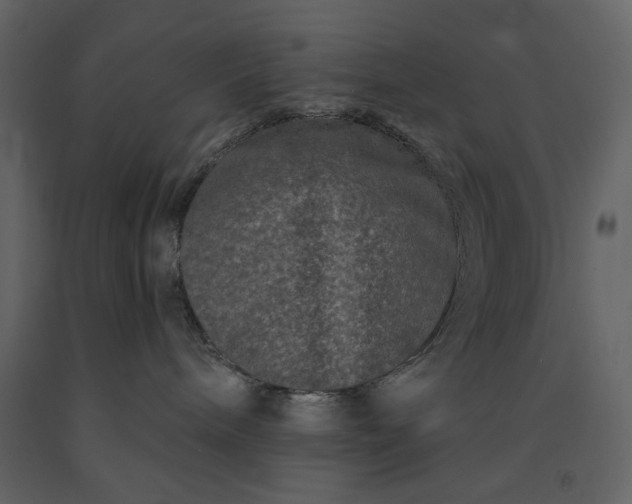 X0000091170240200708231512