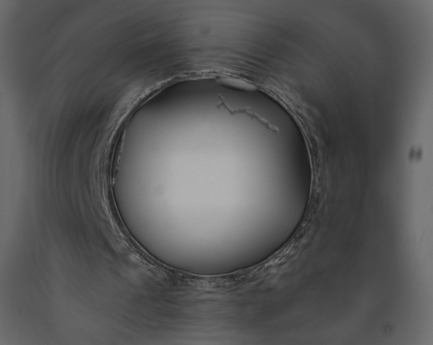 X0000091170241200708231511