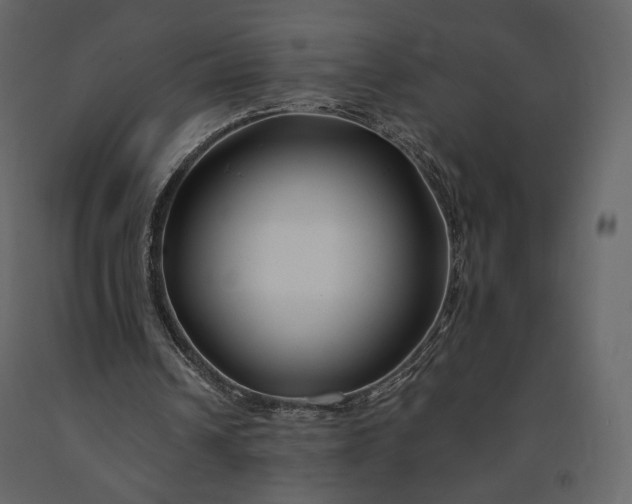 X0000091170242200708231511