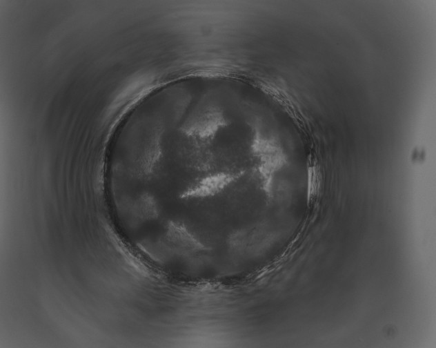 X0000091170243200708231511