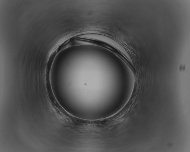 X0000091170244200708231511