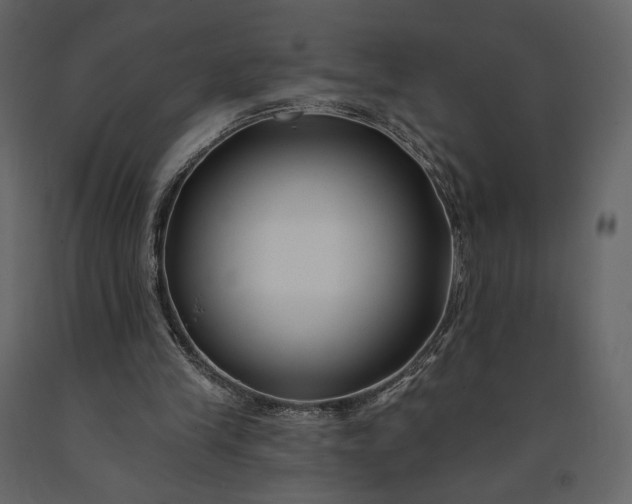 X0000091170245200708231511