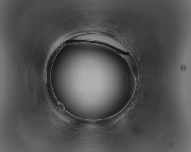 X0000091170246200708231511