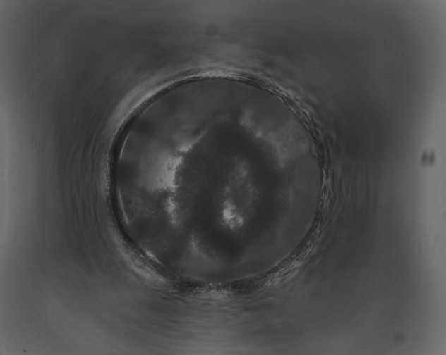 X0000091170247200708231511