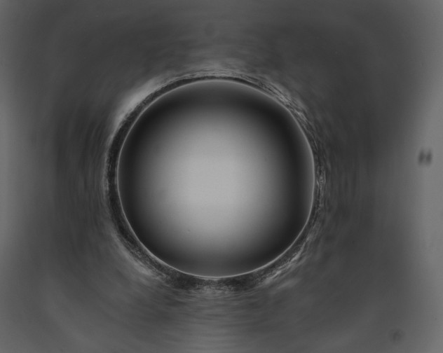 X0000091170248200708231512