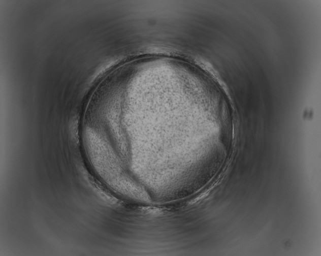 X0000091170249200708231512