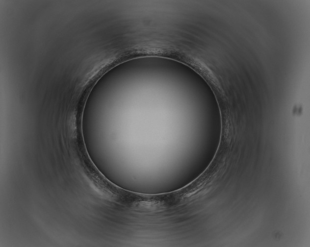 X0000091170251200708231512