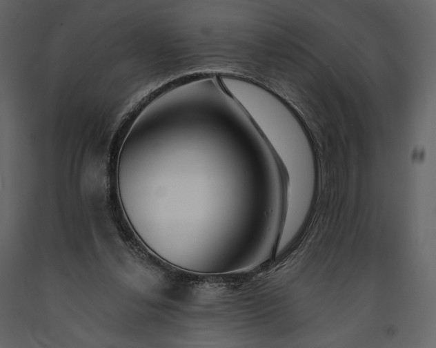 X0000091170252200708231512