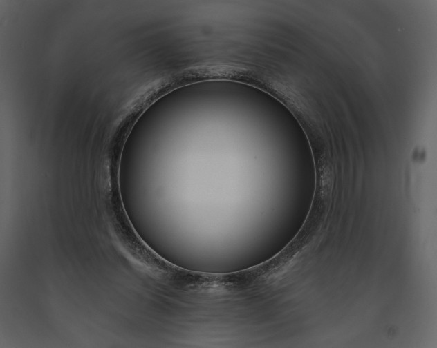 X0000091170254200708231512