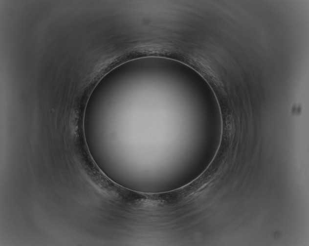 X0000091170255200708231512