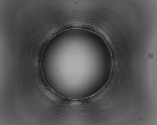 X0000091170257200708231512