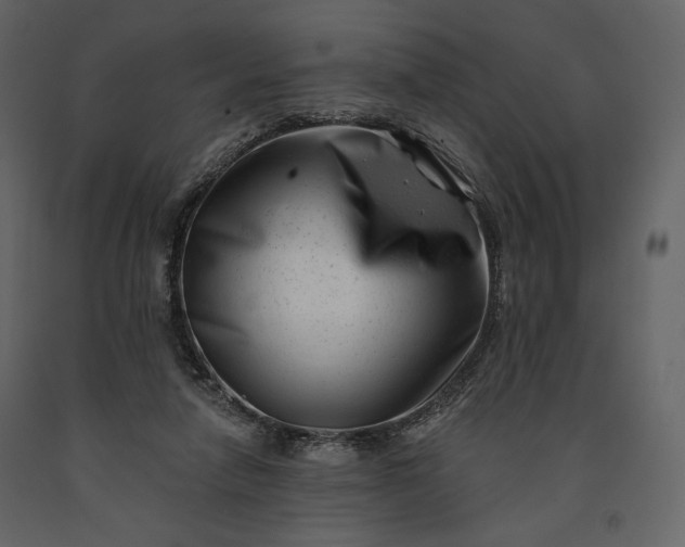 X0000091170258200708231512