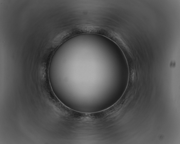 X0000091170259200708231512