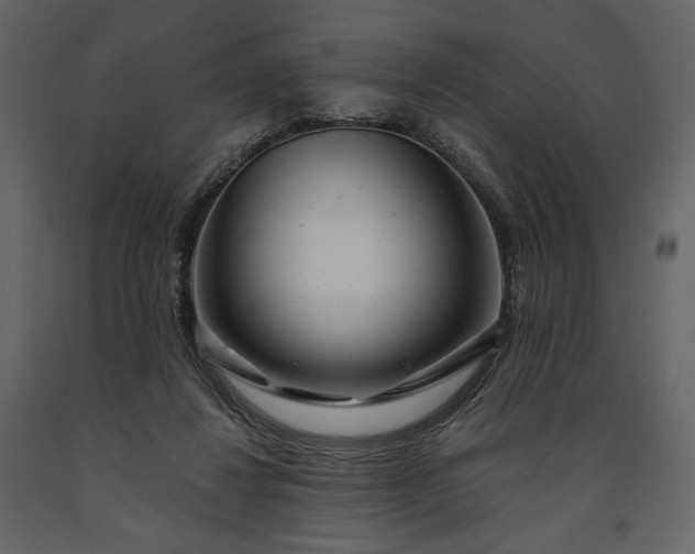 X0000091170260200708231512