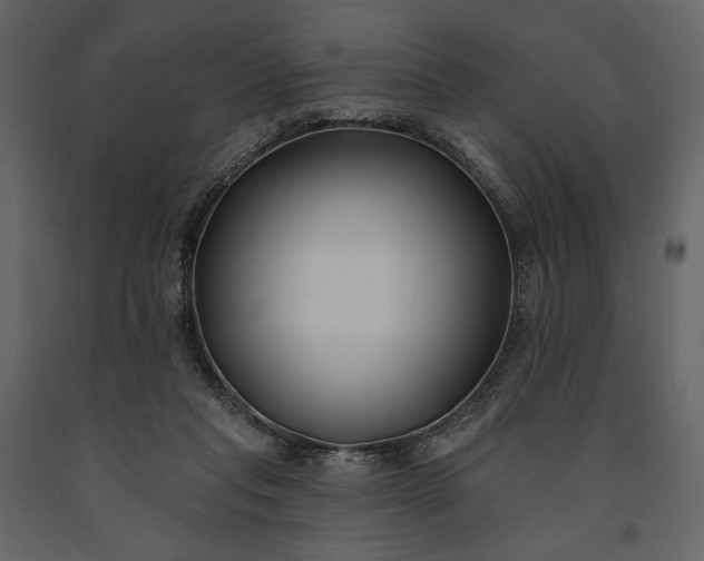 X0000091170261200708231512