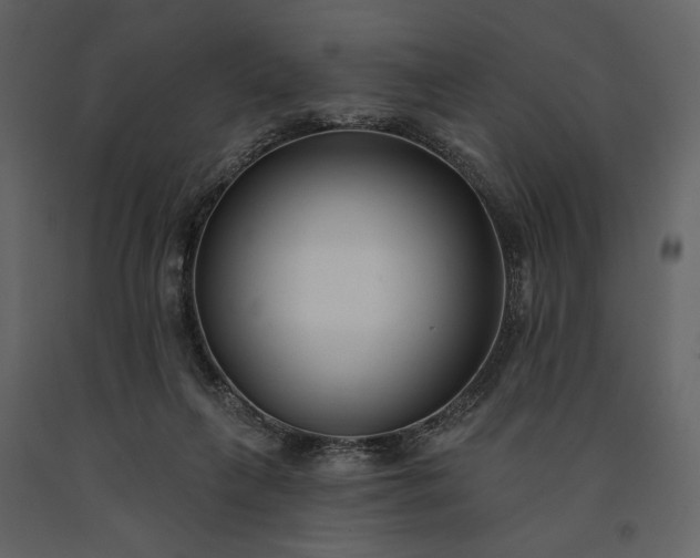 X0000091170263200708231512