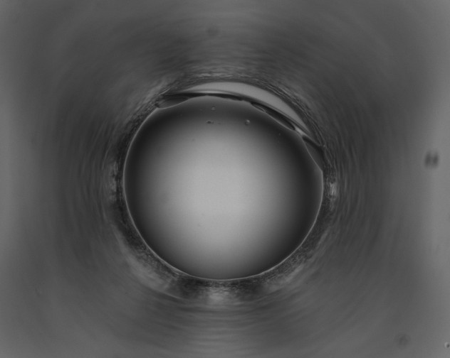 X0000091170264200708231512