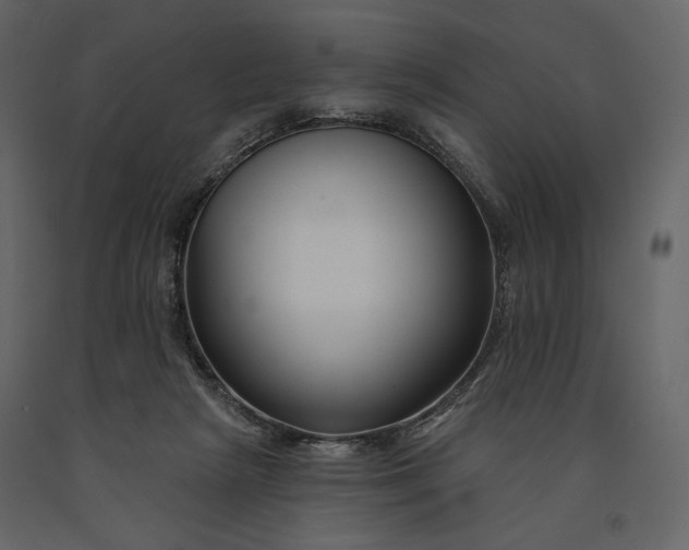 X0000091170265200708231512