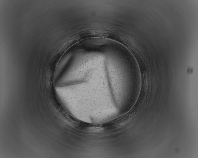 X0000091170266200708231512